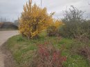 Tâches colorées